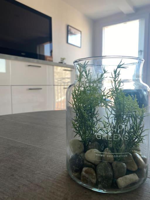 Appartement En Plein Coeur Du Centre Ville Les Sables-dʼOlonne Eksteriør billede